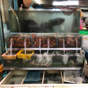 59 Central Harbor Seafood