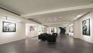 Asia Art Center