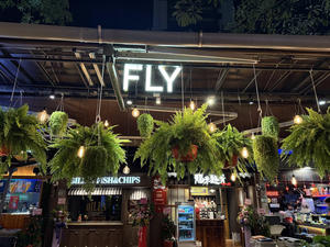 FLY Ximen