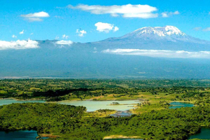 Arusha: Kilimanjaro Airport (JRO) Taxi & Transfers to Arusha