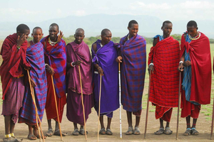 Dar es salaam:2 Days Amazing Maasai & Mikumi National Park