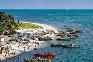 Dar es Salaam: Byrundtur med guide