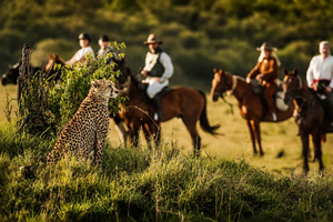Van Arusha: fietstocht en safari te paard in Arusha National Park