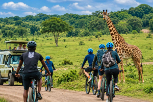 Vanuit Arusha: dagtour begeleide safari Nationaal Park Arusha