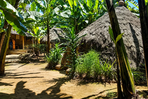 From Arusha: Marangu Village Tour with Coffee & Waterfall