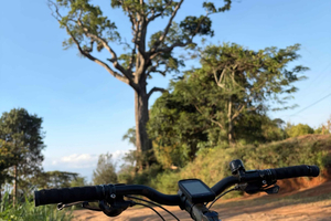 Desde Moshi: tour en bici por el pueblo de Kibosho con visita a una plantación de café