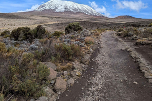 Ruta de senderismo de un día por el Kilimanjaro por la ruta Machame