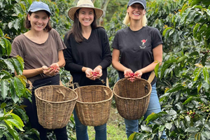 Meru Cultural & Nature Day Trip: Coffee,Cooking & Waterfalls