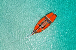 Mnemba Island Dhow Snorkeling, Dolphins, Bbq Lunch, Sailing