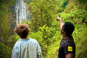 Moshi: Materuni Waterfalls Walk & Coffee Farms - Day Tour