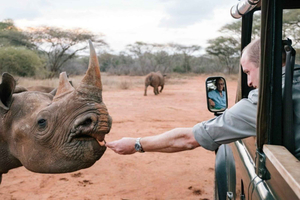 Moshi: dagtour naar Mkomazi Park – wilde safari-ontsnapping en neushoorn