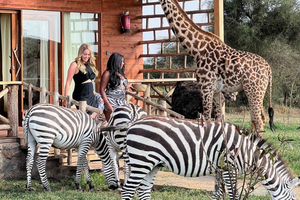 Moshi: Serval Wildlife Tour with food and drinks