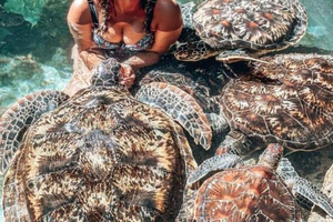 Acquario di Nungwi con tramonto a Kendwa Beach (tour di mezza giornata)