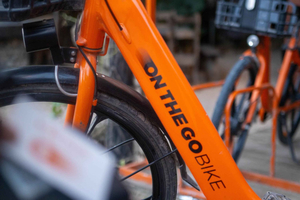 Paje: een hele dag fiets huren met helm en slot