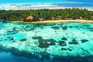 Pemba Island: Spice Farm and Chake Chake City Tour