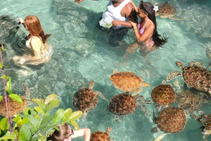 SALAAM CAVE: Swim with turtles & Dine at The Rock Restaurant