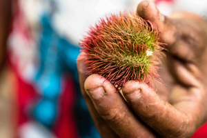 Spice Farm - spice up your life in Zanzibar