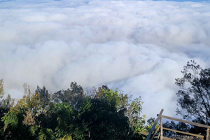USAMBARA: 4-Day Usambara Mountains Trekking Tour