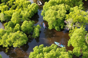 Zanzibar: Butterfly Garden & Mangroves Kayaking Tour at Uzi.