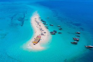 Zanzibar-dag: Prison Island, lunch op Nakupenda & trefpunt