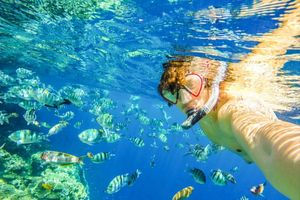 Zanzibar: Wycieczka z delfinami, żółwie morskie i wizyta na plaży Kendwa