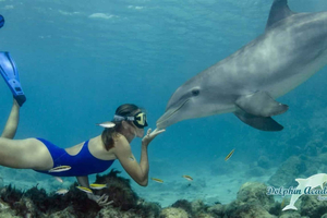 Zanzibar: Dolphins & Snorkeling Paradise Mnemba Atoll