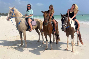 Zanzibar: Horseback Riding and swimming with Pickup