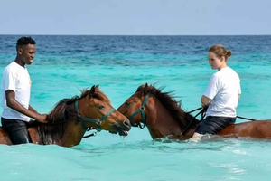 Zanzibar Horseback Riding