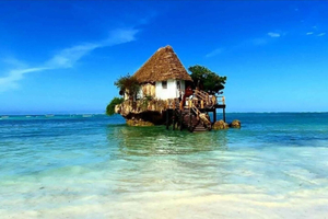Zanzibar: Jozanin metsä, Kuza-luola, Paje-ranta ja The Rock