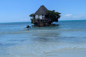Zanzibar: Floresta Jozani, Caverna Salaam e The Rock – Serviço de busca