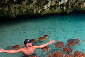 Zanzibar: Jozani-skogen, havssköldpaddor och Mtende Beach-tur