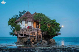 Zanzibar: Floresta Jozani, nado com tartarugas na Gruta de Salam e The Rock