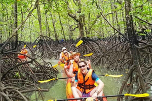 ZANZIBAR : Kayak tour in mangrove forest with fruits