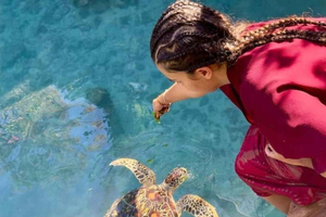 Zanzibar: zwemmen met zeeschildpadden in Baraka-aquarium, Nungwi