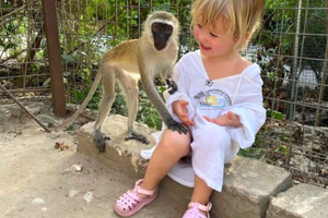 Zanzibar: Nungwi Kilosa Zoo Conservation Tour