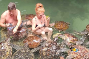 Zanzibar: Nungwi Kilosa Zoo & Swimming with Turtles