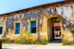 Zanzibar: Private Stone Town & Prison Island Tour.