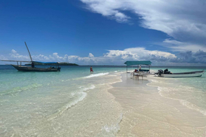 ZANZIBAR: Pungume Full day trip, Snokerling with BBQ lunch