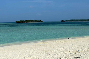 Zanzibar: Pungume island-dolphin watching - BBQ Lunch