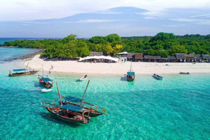 Sansibar: Safari Blue -päiväkierros, snorklaus ja lounas