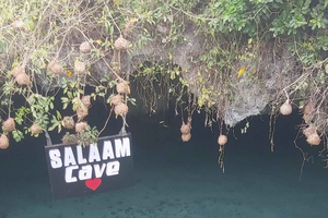 Zanzibar: Salaam Cave and Turtle Swimming Tour