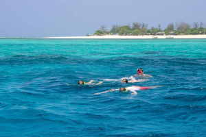 Zanzibar: Scenic Stone Town Coastal Cruise &Snorkelling Trip
