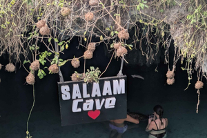 Zanzibar: Sea turtles Swim, feed at salaam cave. Nice memory