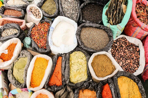 Zanzibar: rondleiding door specerijenplantage