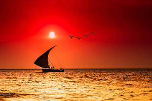 Zanzibar: crociera in dhow al tramonto con bevande e vista sull'oceano
