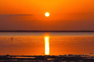 Zanzibar: Sunset Party at Kae Funk Bar In Michamvi Beach