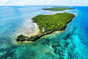 Zanzibar: Tumbatu Island Snorkeling Excursion from Nungwi