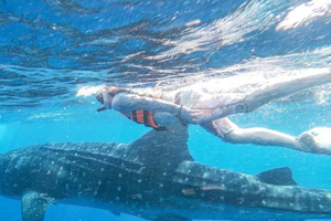 Zanzibar: Tumbatu Island Tour with Snorkeling & Boat Ride