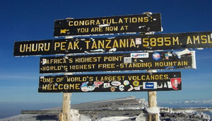 Hammering Heart Rates in Tanzania