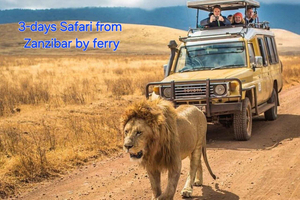 3 DAYS, 2 NIGHTS SAFARI FROM ZANZIBAR TO MIKUMI BY FERRY.